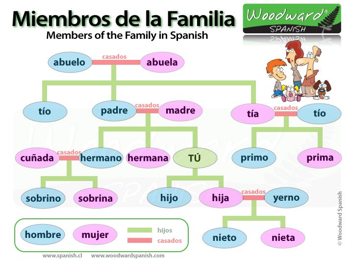 arbol genealogico familiar argentino legal