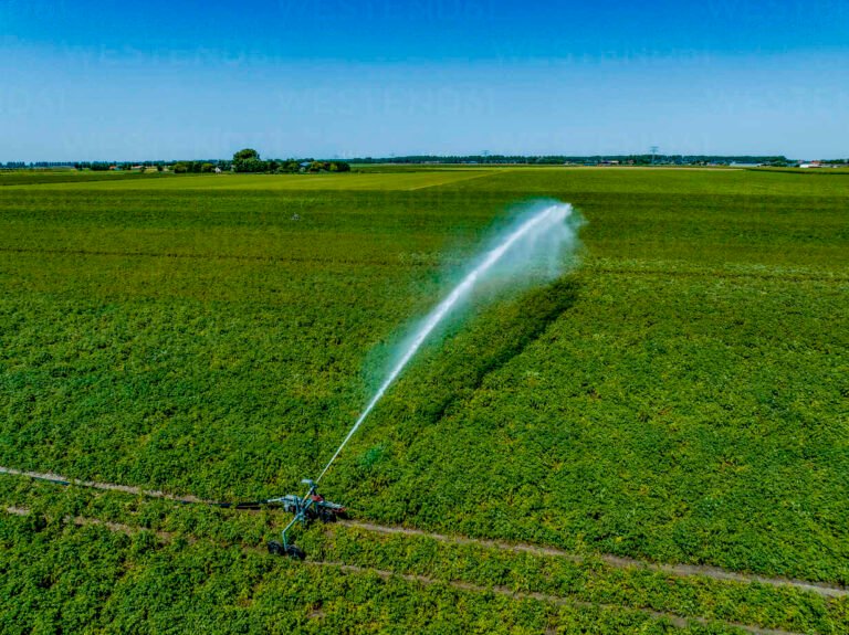 Cuál Es El Costo Promedio Del Riego Por Aspersión Para Mi Campo