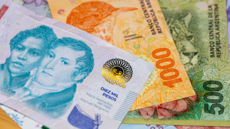 Qué Destinó Argentina Realmente Al Préstamo Del FMI