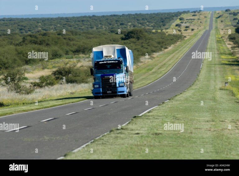 camion de carga en carretera argentina rural