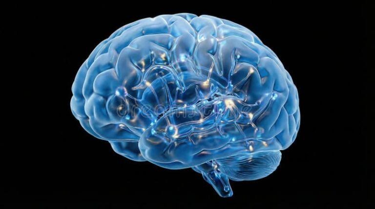 Cómo Cambiar Tu Cerebro Puede Transformar Tu Vida Diaria