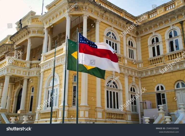 Qué establece la Constitución Provincial de Río Negro y cómo funciona