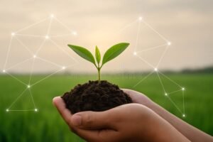 manos con tierra fertil y plantas verdes