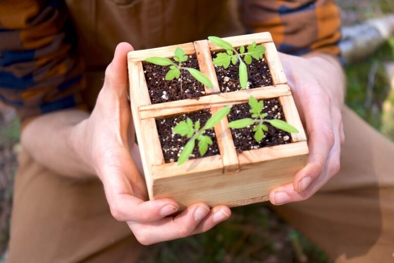 Cómo Elegir Cajones Para Hacer Huertas y Cultivar en Casa