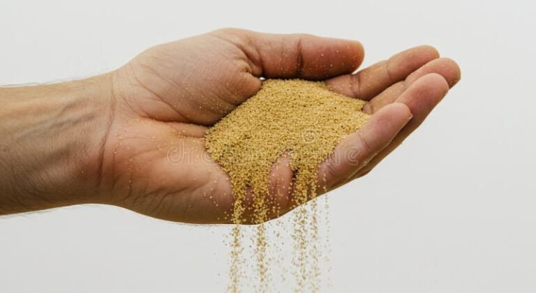 Qué Significa el Poema "A Dream Within a Dream" de Edgar Allan Poe 2 manos sosteniendo arena que se escapa