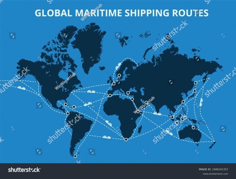 Qué incluyen los servicios conexos al transporte internacional y para qué sirven