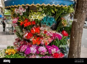 mercado de flores coloridas en buenos aires