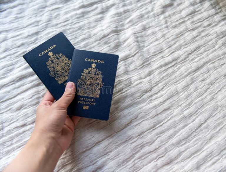 pasaporte y documentos oficiales sobre fondo neutro