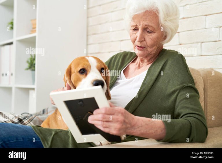 Qué Significa Soñar Con Una Mascota Fallecida Según Los Expertos 2 persona mirando una foto de mascota fallecida