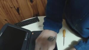 persona usando computadora con sitio anses abierto