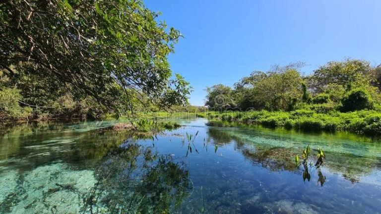 Por qué es importante el agua como recurso natural para la vida