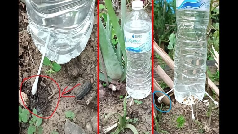 Cómo hacer un sistema de riego por goteo con botellas de plástico