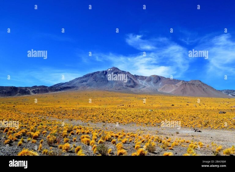 Cuáles son los volcanes más importantes que hay en Argentina